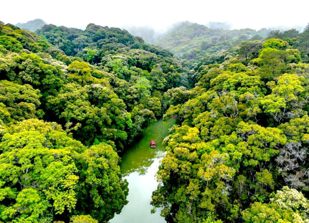 雷速官网-福建三明旅游景点推荐，探寻自然之美